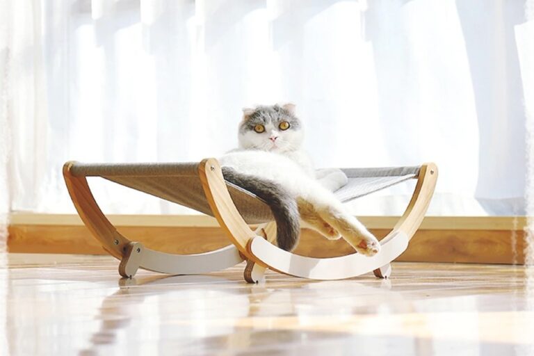 Hamac pour chat