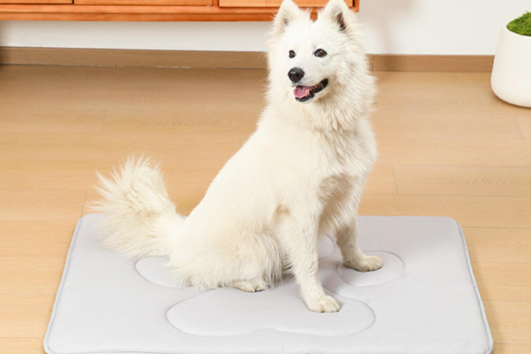 Tapis rafraîchissant