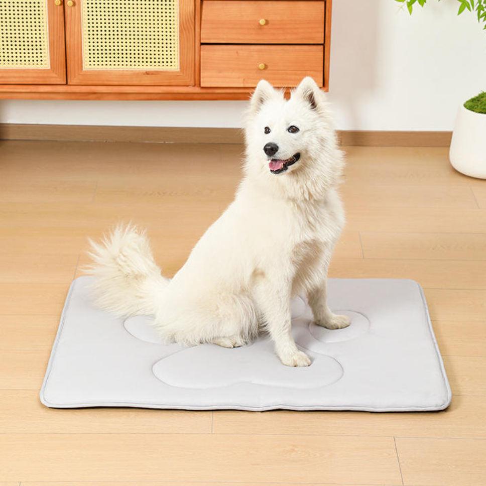 Tapis rafraîchissant